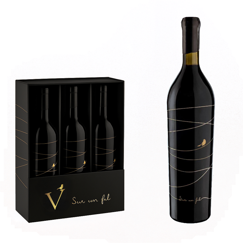 Coffret Sur un fil 2020