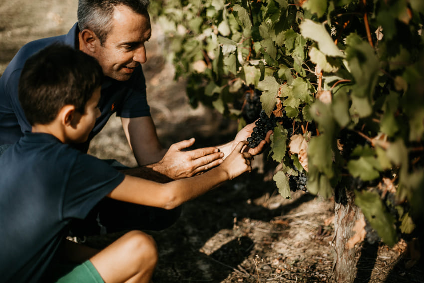 Alain Bessette, gérant du Château La Verrière