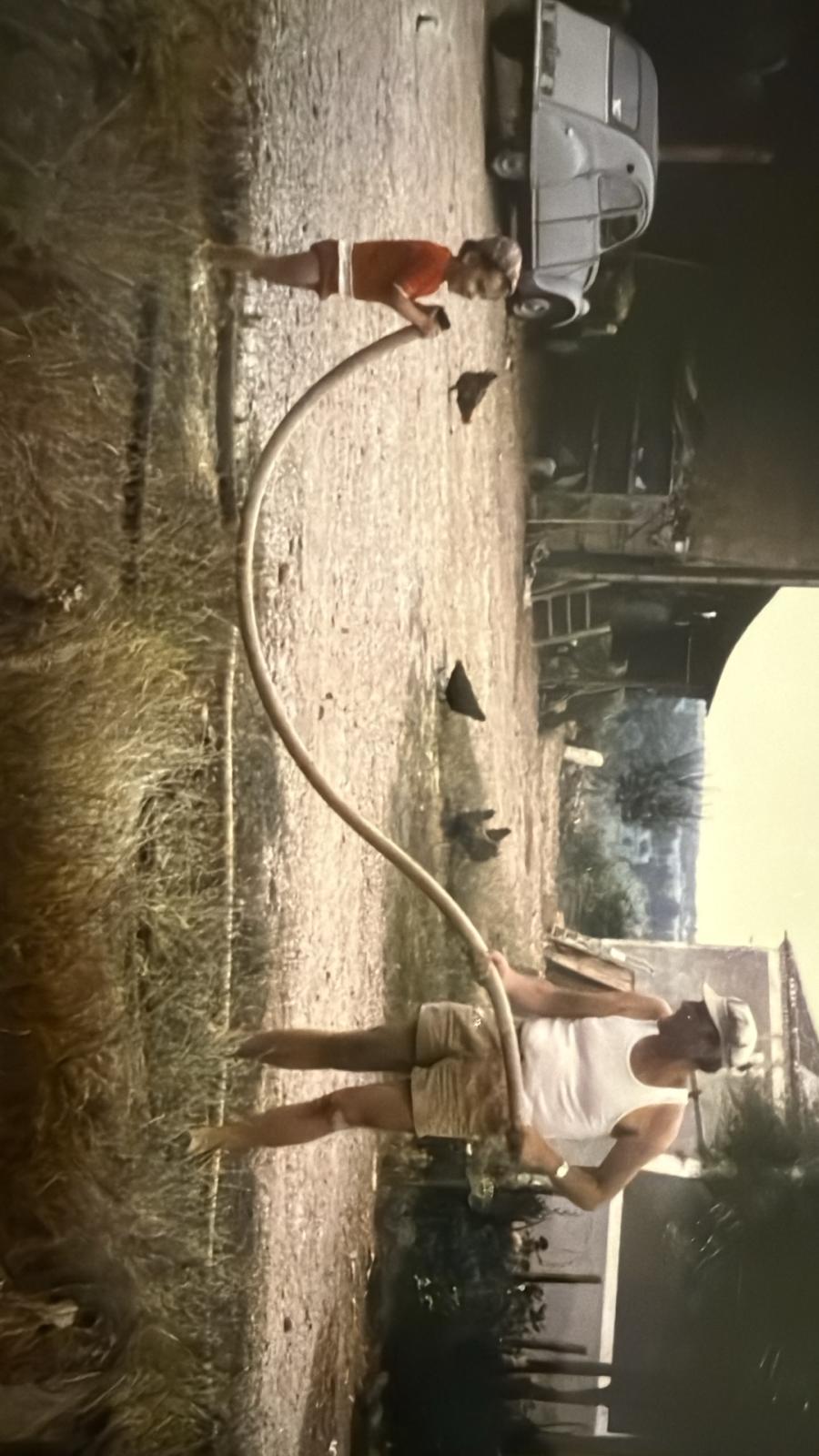 Vendanges historiques au Château La Verrière