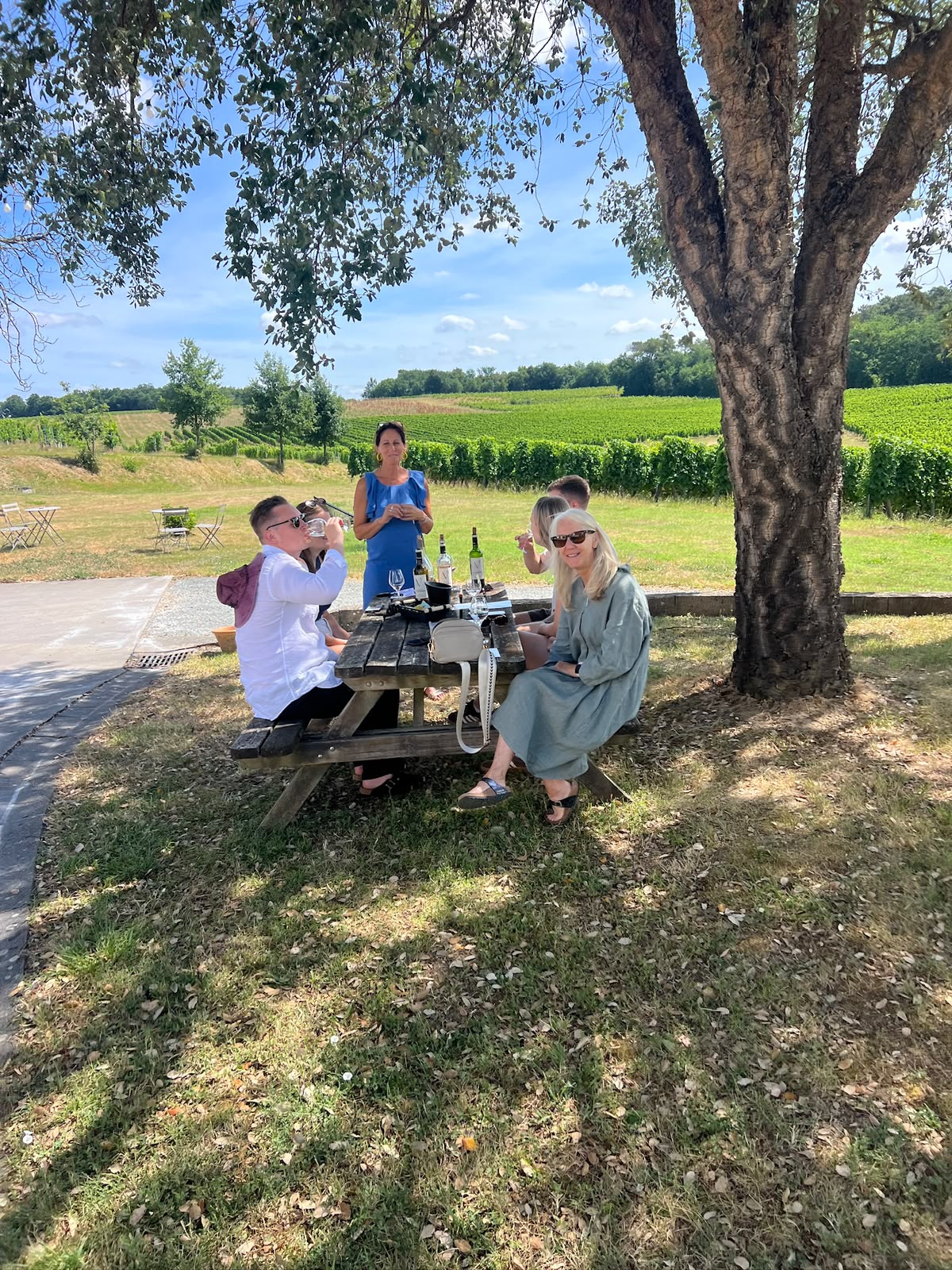Dégustation conviviale sous le grand chêne du Château La Verrière